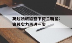 英超劲旅欲签下荷兰新星：锋线实力再进一步的简单介绍